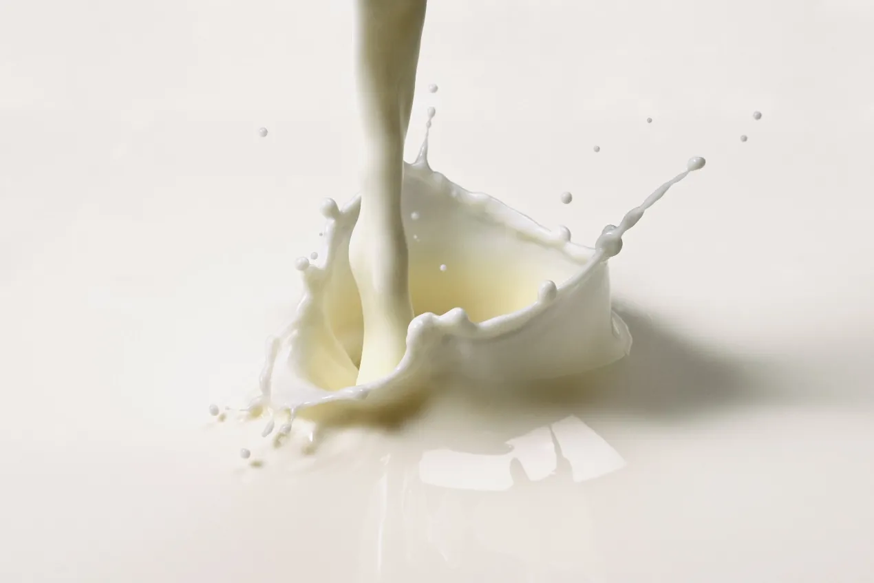 Dairy market